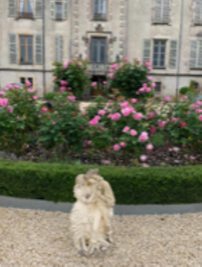 Chateau Pont Jarno B&B Champdeniers 외부 사진