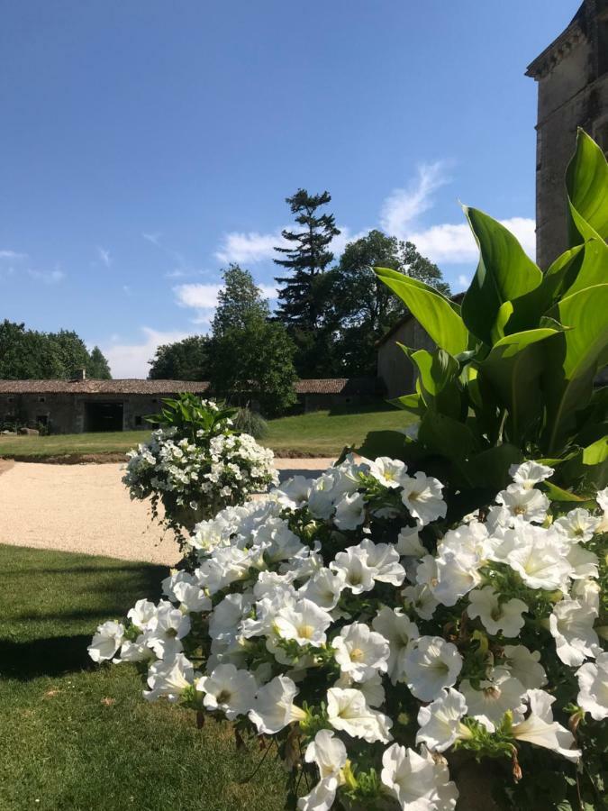 Chateau Pont Jarno B&B Champdeniers 외부 사진